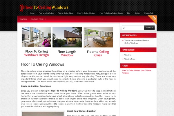 Colorbold theme site design template sample