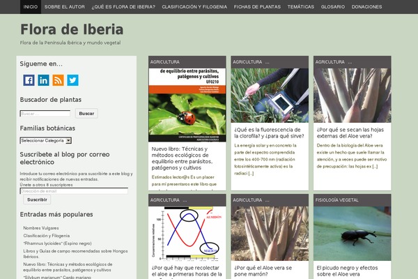 Codium Grid theme site design template sample