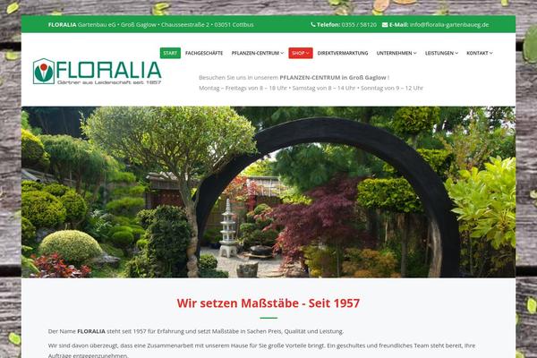 Site using Responsive-lightbox-popup plugin