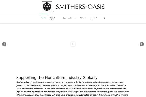 Oasis theme site design template sample