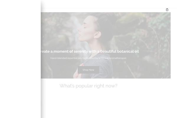 Site using Theme-customisations-master plugin