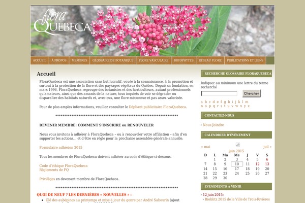 Flexx Theme theme site design template sample