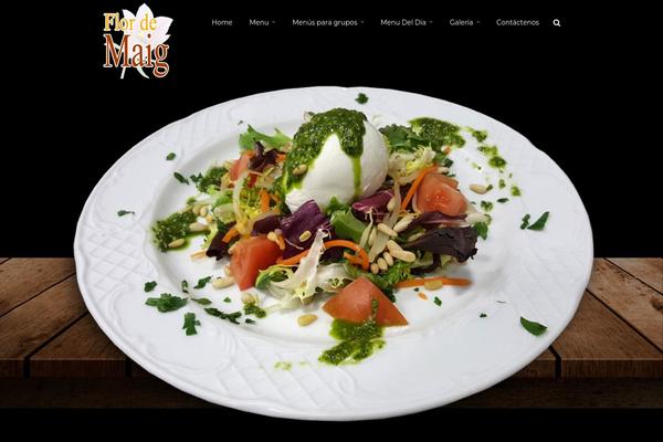 Capella theme site design template sample
