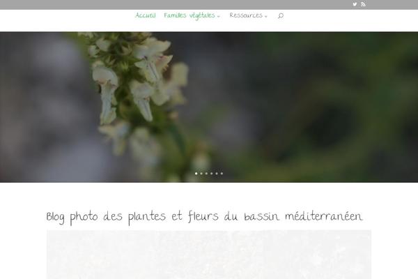 Grido theme site design template sample