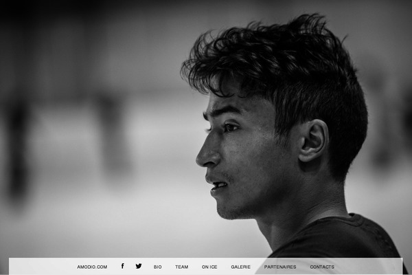 Snaps theme site design template sample