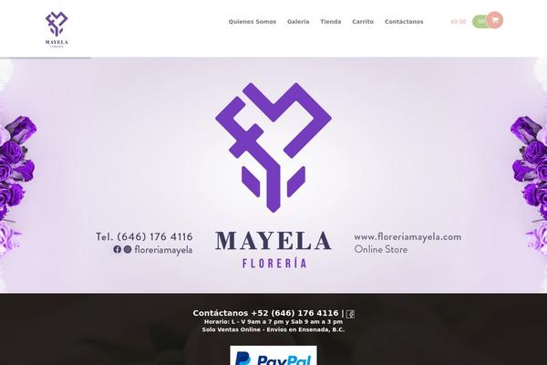 floreriamayela.com site used Flower-shop-lite