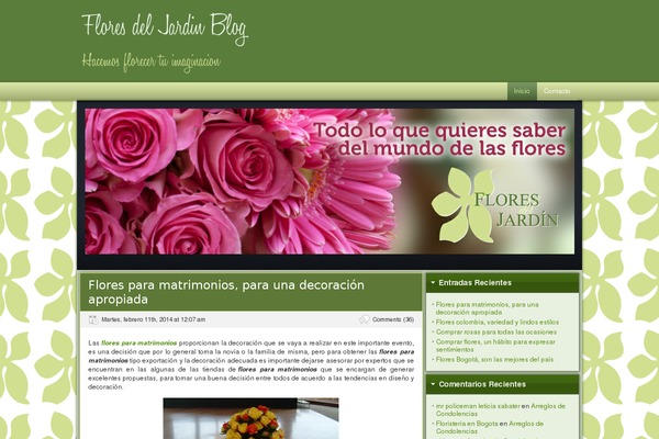 FlexSqueeze theme site design template sample