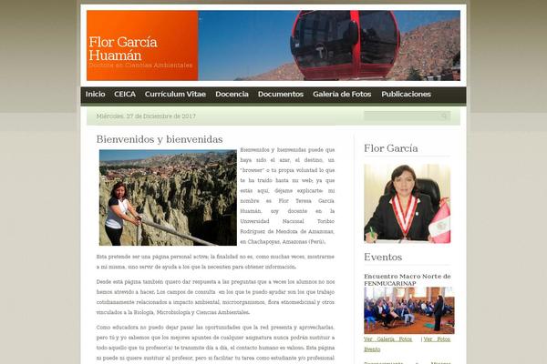 Site using Page-flip-image-gallery plugin
