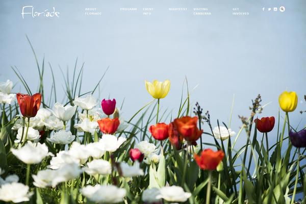 Story theme site design template sample