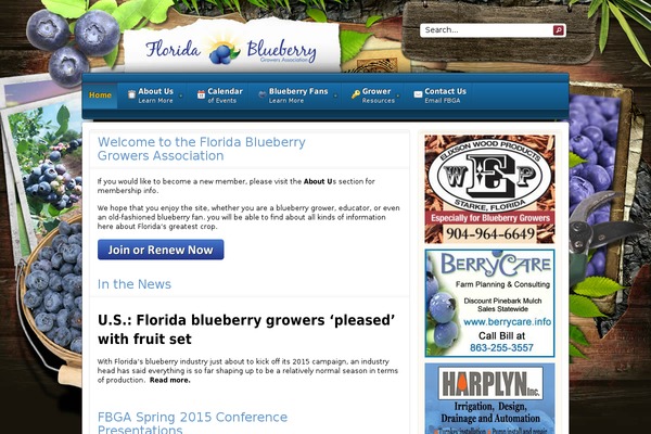 Rt_infuse_wp theme site design template sample