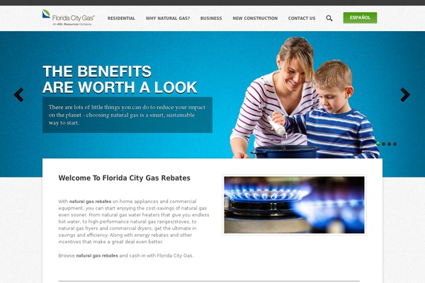 floridacitygasrebates.com site used Fcg