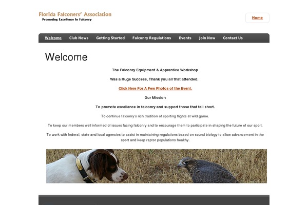zeeDisplay theme site design template sample