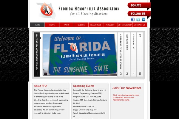 Florida theme site design template sample