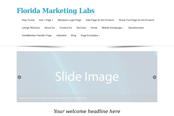 consultant theme site design template sample