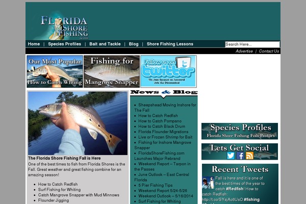 2014 theme site design template sample