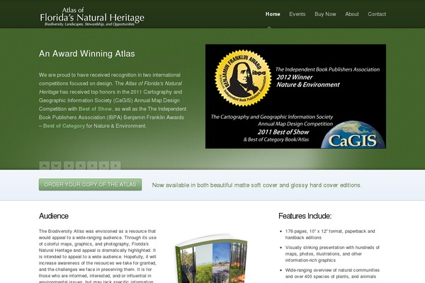 Magnetic theme site design template sample
