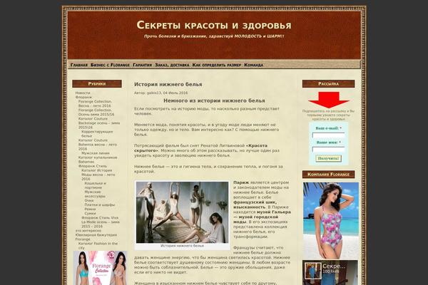 State Of Mind theme site design template sample