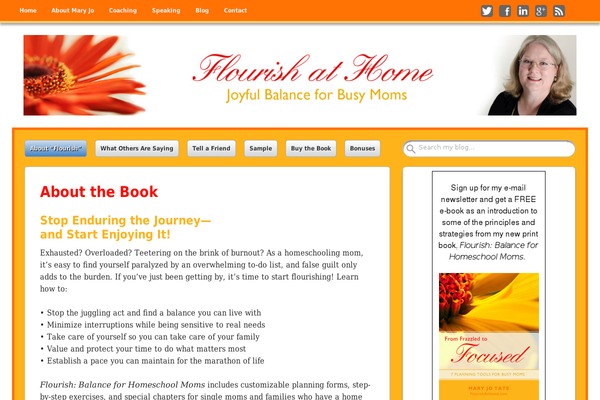 Get Noticed theme site design template sample