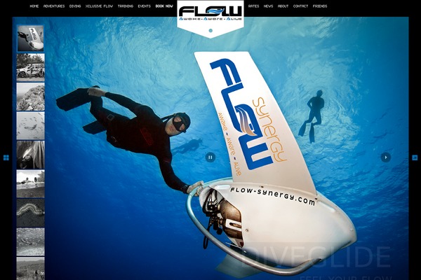 flowbonaire.com site used Jd