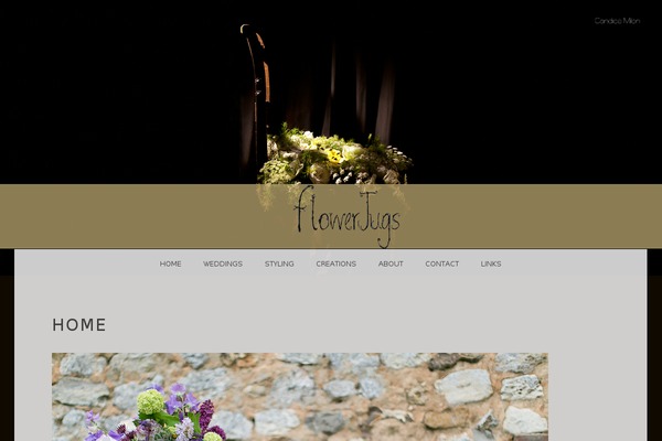 Snaps theme site design template sample