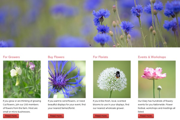 flowersfromthefarm.co.uk site used Directory