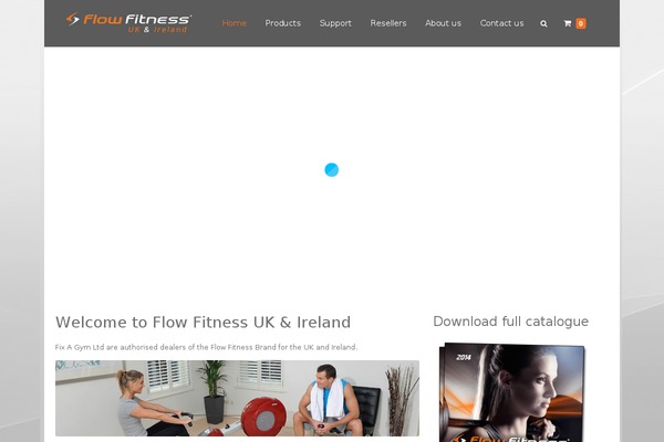 Vivacity theme site design template sample