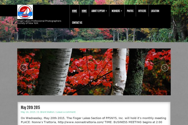 flppsny.com site used Gdmusic