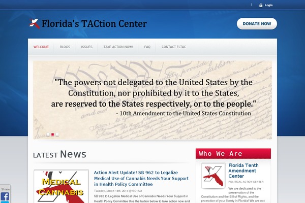 Candidate theme site design template sample