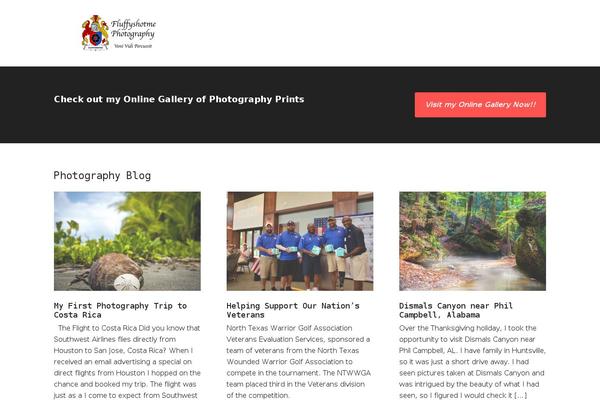Modern Portfolio Pro theme site design template sample