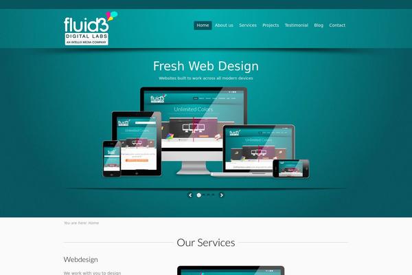Flare theme site design template sample