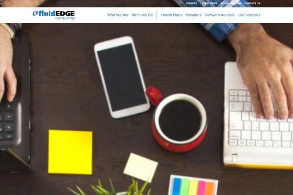 fluidedgeconsulting.com site used Ageless