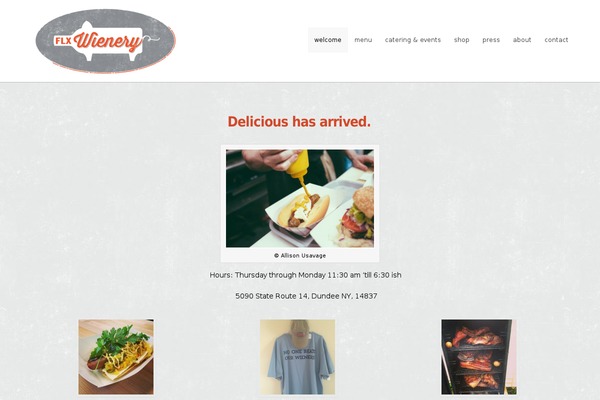 DMS theme site design template sample