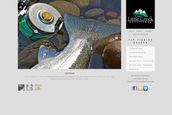 Photo Nexus theme site design template sample
