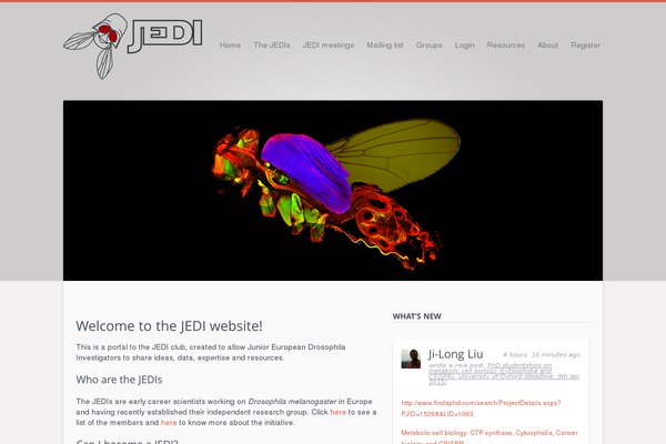 Salutation theme site design template sample