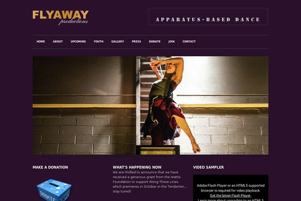Avada Child Theme theme site design template sample