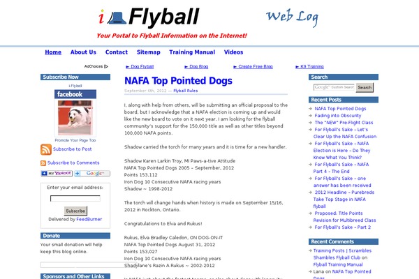 Copyblogger theme site design template sample