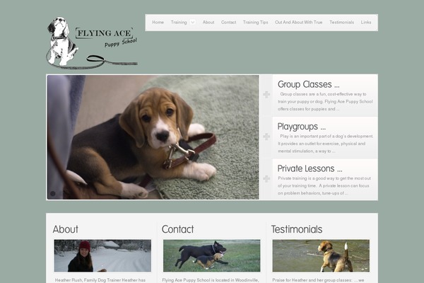 Concise theme site design template sample