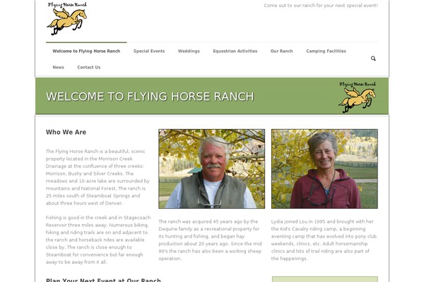 Phoenix theme site design template sample