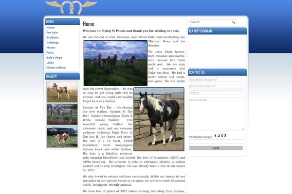 flyingmpaints.com site used Blueportal