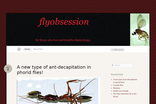 Quintus theme site design template sample