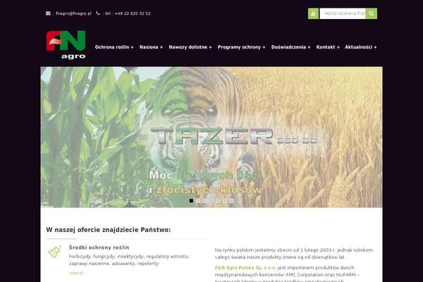 Sarraty theme site design template sample
