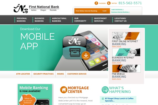 fnb-rochelle theme websites examples