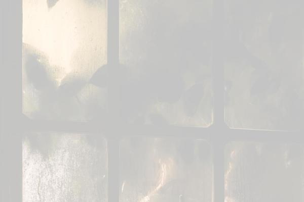 Site using Wolf-gram plugin