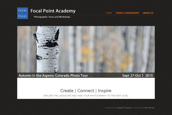 focalpointacademy.com site used Flexible