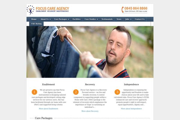 Classy theme site design template sample