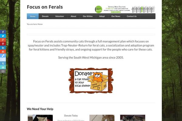 Function theme site design template sample
