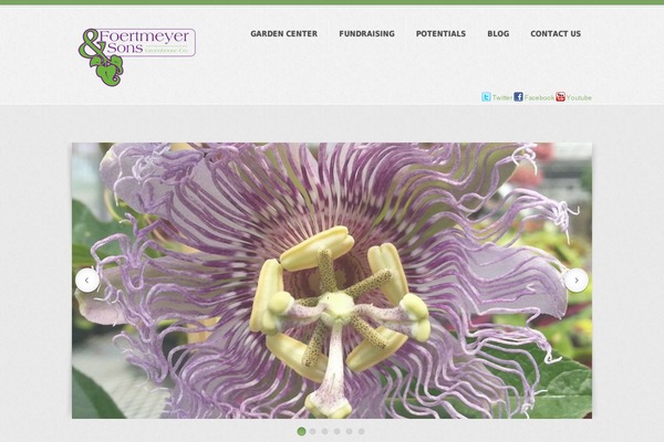 Theme1577 theme site design template sample