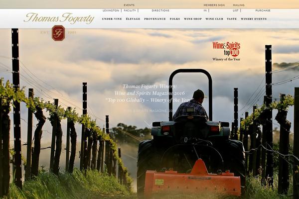 Tfw theme site design template sample