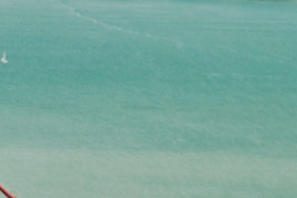 Poetry theme site design template sample