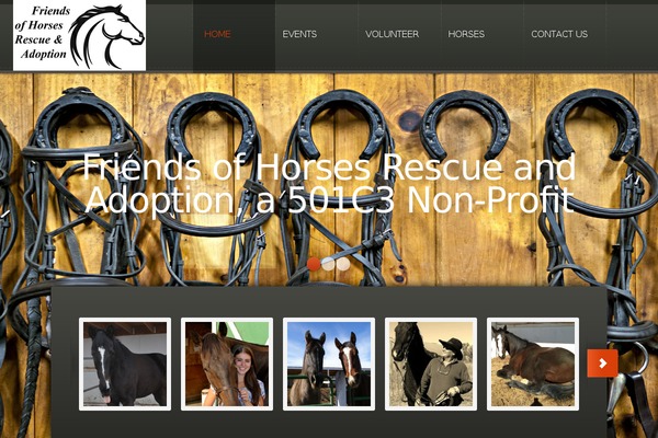 fohrescue.com site used Theme1786